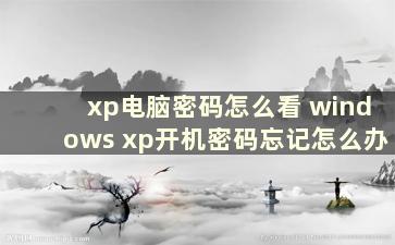 xp电脑密码怎么看 windows xp开机密码忘记怎么办